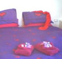 Aloomba Lavender - Accommodation - Accommodation Sunshine Coast