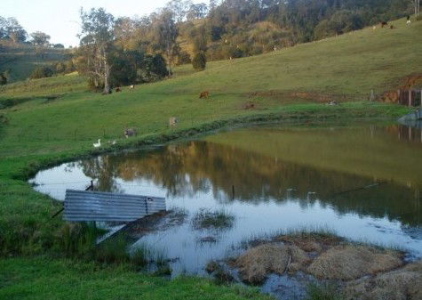Barkeldine Farm Country Retreat - Accommodation Sunshine Coast 0