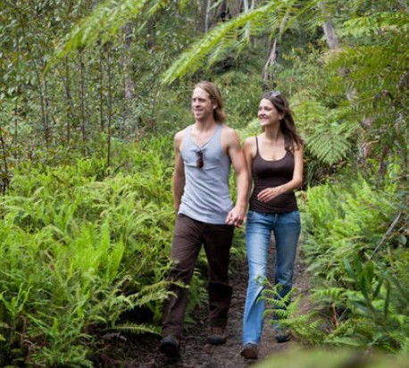 Blackheath Glen Tourist Park - Accommodation Sunshine Coast 0