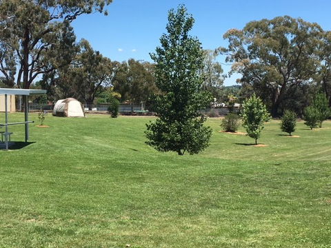 Canobolas Caravan Park - Accommodation Sunshine Coast 3