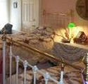 A Winter-Rose Cottage Bed and Breakfast - Accommodation Sunshine Coast