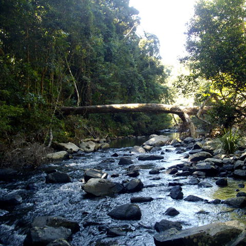 Eungella Mountain Edge Escape - Accommodation Sunshine Coast 4