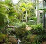 Chamomile Bed and Breakfast - Accommodation Sunshine Coast