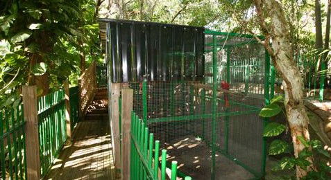 Ashmore Palms Holiday Village - Accommodation Sunshine Coast 3