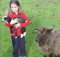 Cinnamon Coloureds Farmstay - Accommodation Sunshine Coast