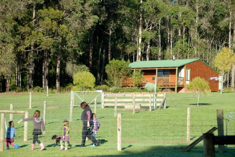 Diamond Forest Farm Stay - Accommodation Sunshine Coast 0