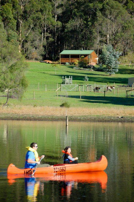 Diamond Forest Farm Stay - Accommodation Sunshine Coast 2