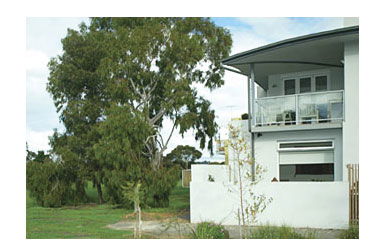 Clifton Hill VIC Accommodation Sunshine Coast