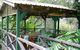 Harmony Nature Retreat - thumb 4
