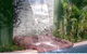 Nambour Heights Motel - thumb 1