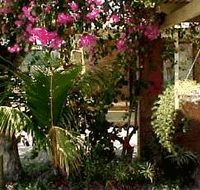 Denham Villas - Accommodation Sunshine Coast