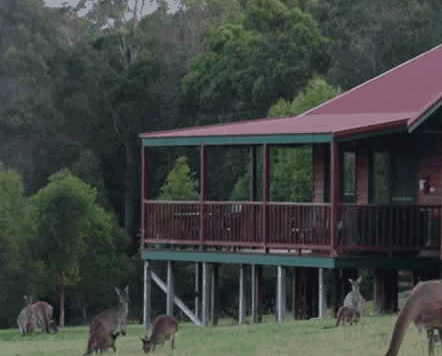  Accommodation Sunshine Coast