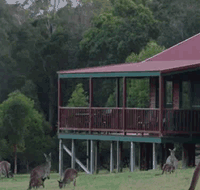 Walpole Wilderness Resort - Accommodation Sunshine Coast