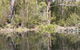 Sanctuary House Resort Motel - Healesville - thumb 5