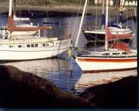 Boat Harbour Motel & Anchorage Restaurant - Accommodation Sunshine Coast 1