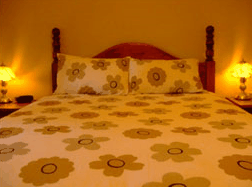 Napperby SA Accommodation Sunshine Coast
