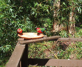 Mount Romance WA Accommodation Sunshine Coast