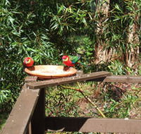 Tree Tops - Accommodation Sunshine Coast