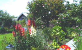 Hopfield Country Cottages - Accommodation Sunshine Coast 0