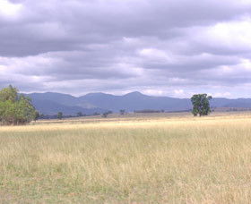 Sherwoods Cottage Farmstay - Accommodation Sunshine Coast 0