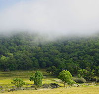 Tor Cottage at Anketell Forest - Accommodation Sunshine Coast