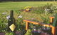 Tranquil Vale Vineyard Cottages - thumb 0