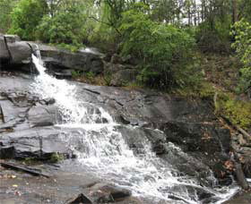 Gully Falls House - Accommodation Sunshine Coast 0