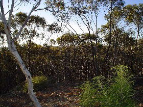 Muradup ACT Accommodation Sunshine Coast