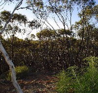 Lions Dryandra Woodlands Village - Accommodation Sunshine Coast