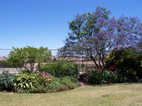 Chuckem Farm - Accommodation Sunshine Coast 0