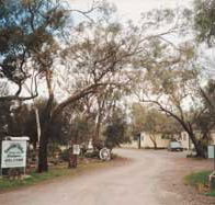 Beautiful Valley Caravan Park Cabins - Accommodation Sunshine Coast