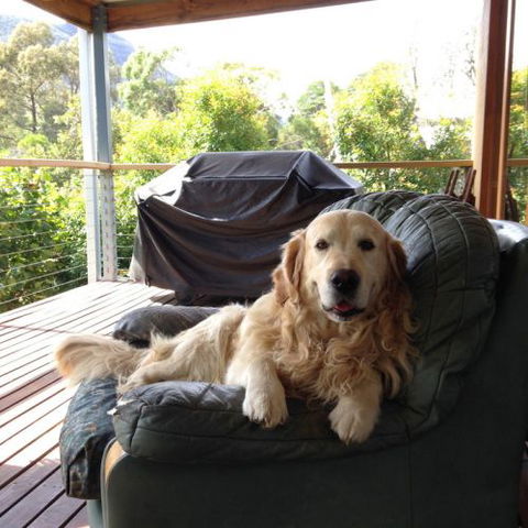 Ant's Halls Gap Holiday House - Accommodation Sunshine Coast 7