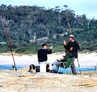 Binalong Bungalows - Accommodation Sunshine Coast