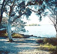 The Cove - Accommodation Sunshine Coast