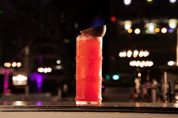 Ovolo Woolloomooloo - Accommodation Sunshine Coast 12