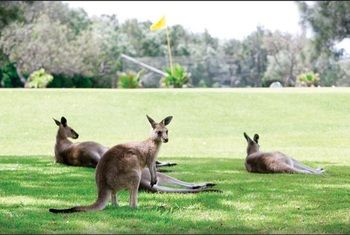 Darlington Beach Resort & Holiday Park - Accommodation Sunshine Coast 67