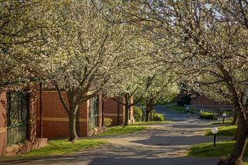 Apartments @ Mt Waverley - Accommodation Sunshine Coast 19