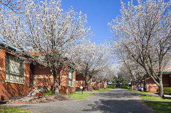 Apartments @ Mt Waverley - Accommodation Sunshine Coast 26