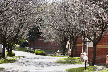 Apartments @ Mt Waverley - Accommodation Sunshine Coast 27