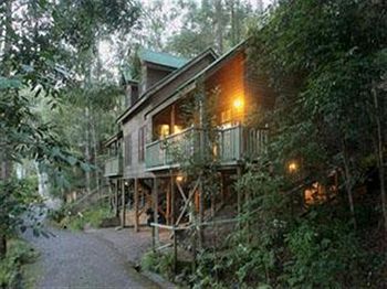 Barrington Wilderness Cedar Lodge Accommodation - Accommodation Sunshine Coast 3