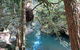 Barrington Wilderness Cedar Lodge Accommodation - thumb 8