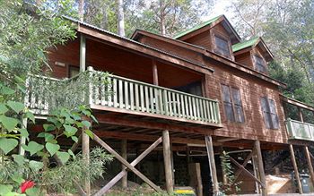 Barrington Wilderness Cedar Lodge Accommodation - Accommodation Sunshine Coast 12