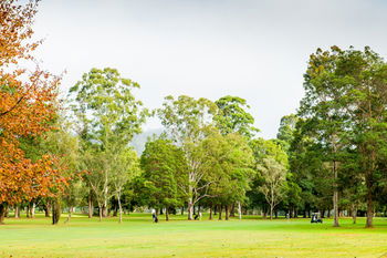 Retreat At Wisemans - Accommodation Sunshine Coast 17