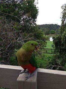 Australian Home Away @ Wonga Park Brushy Creek - Accommodation Sunshine Coast 2