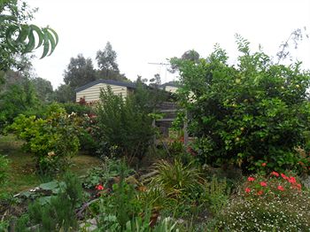 Australian Home Away @ Wonga Park Brushy Creek - Accommodation Sunshine Coast 14