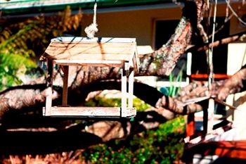 Comfort Inn Redleaf Resort - Accommodation Sunshine Coast 5