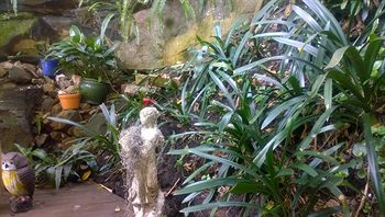 Linley House Bed & Breakfast - Accommodation Sunshine Coast 4