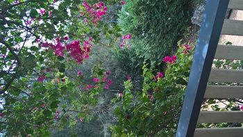 Linley House Bed & Breakfast - Accommodation Sunshine Coast 30