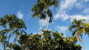 Ibis Styles Katherine - Accommodation Sunshine Coast 17