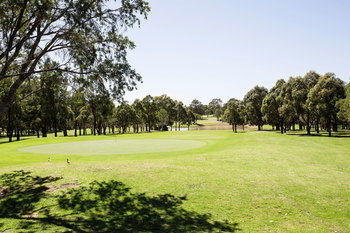 Golfview Hotel - Accommodation Sunshine Coast 1